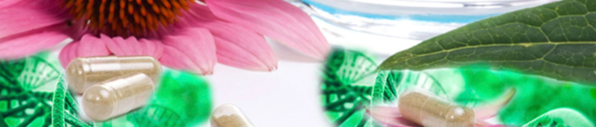 Banner Bioimmuntherapie