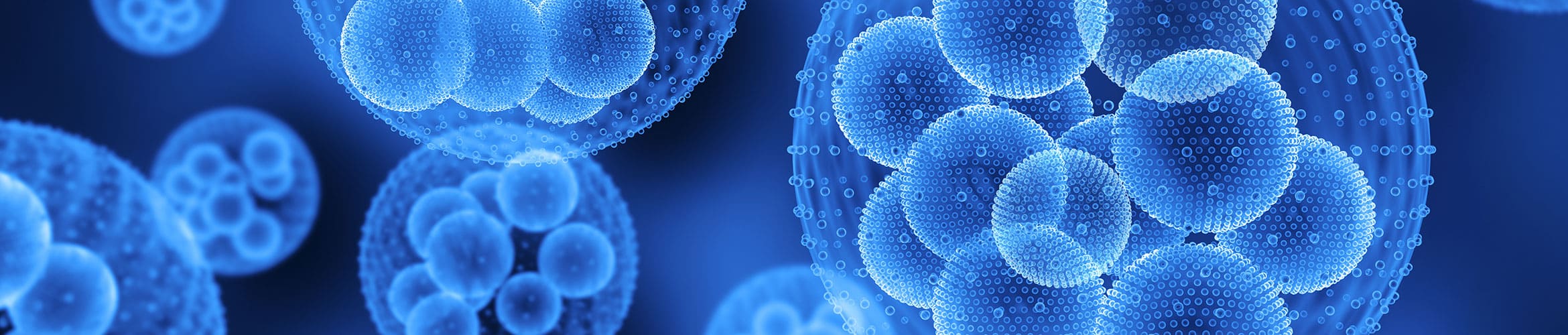 Banner Zellmedizin im blauen Farbton werden "Zellen" dargestellt